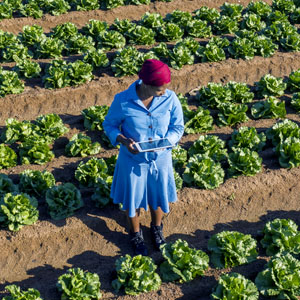 Women empowerment is a major growth opportunity for Africa